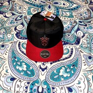 Kingdom hearts hat